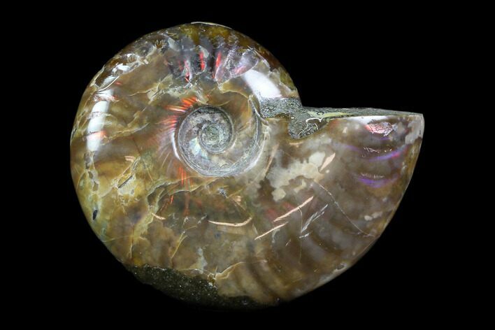 Iridescent, Red Flash Ammonite - Madagascar #82423